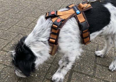 Anny-X tuigje open harnas met naam en telefoonnummer