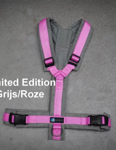 AnnyX Limited Edition grijs roze tuigje